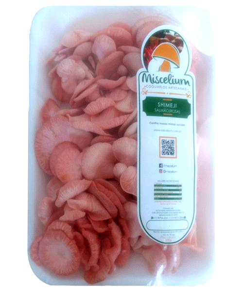 Miscelium Shimeji Fresco em São José do Rio Preto